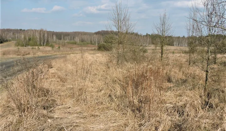 Działka rolno-budowlana Wiejca