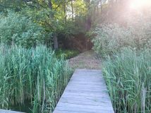 Działka siedliskowa Gaj. Zdjęcie 2