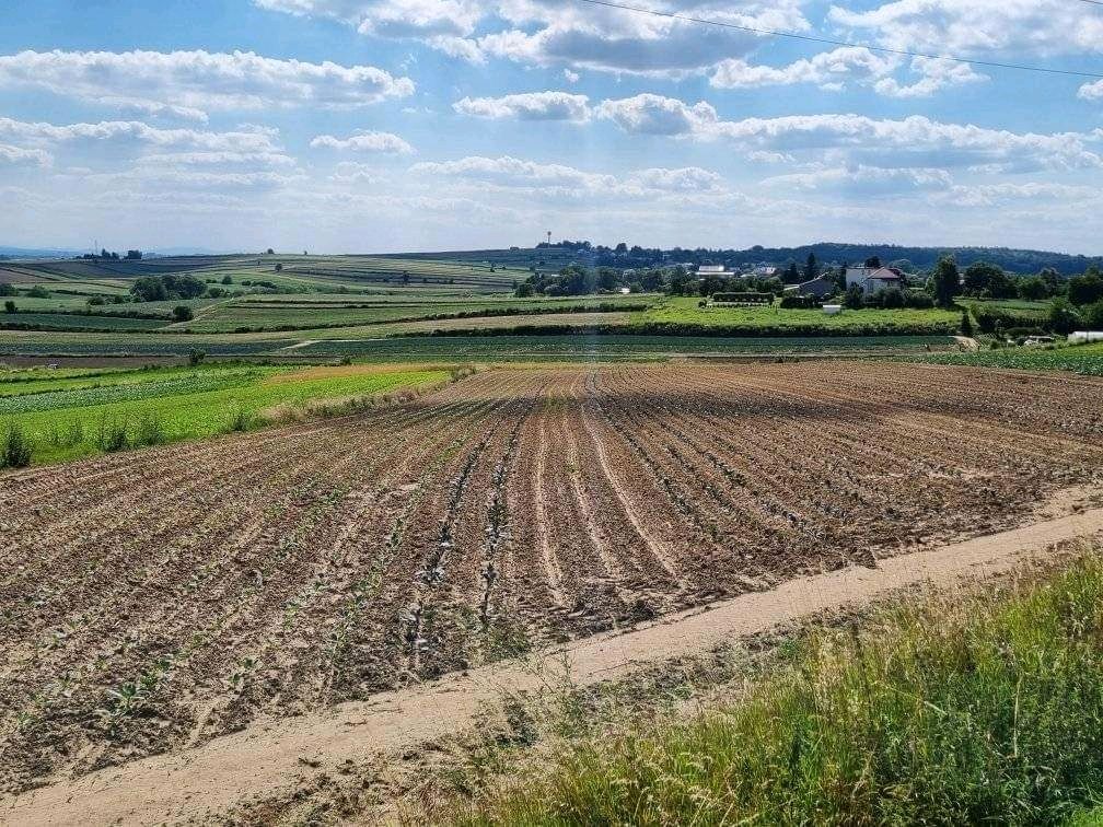 Działka budowlana Biórków Mały Wiktoryjka. Zdjęcie 5