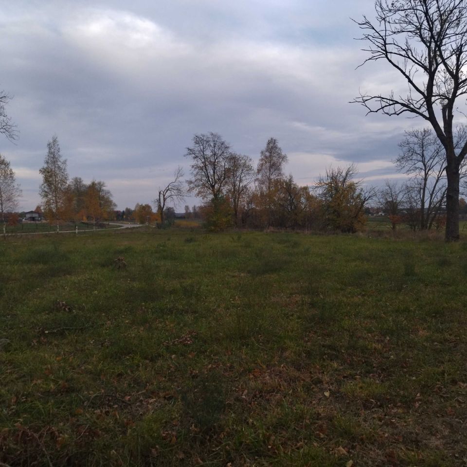 Działka rolna Mazuchówka. Zdjęcie 6