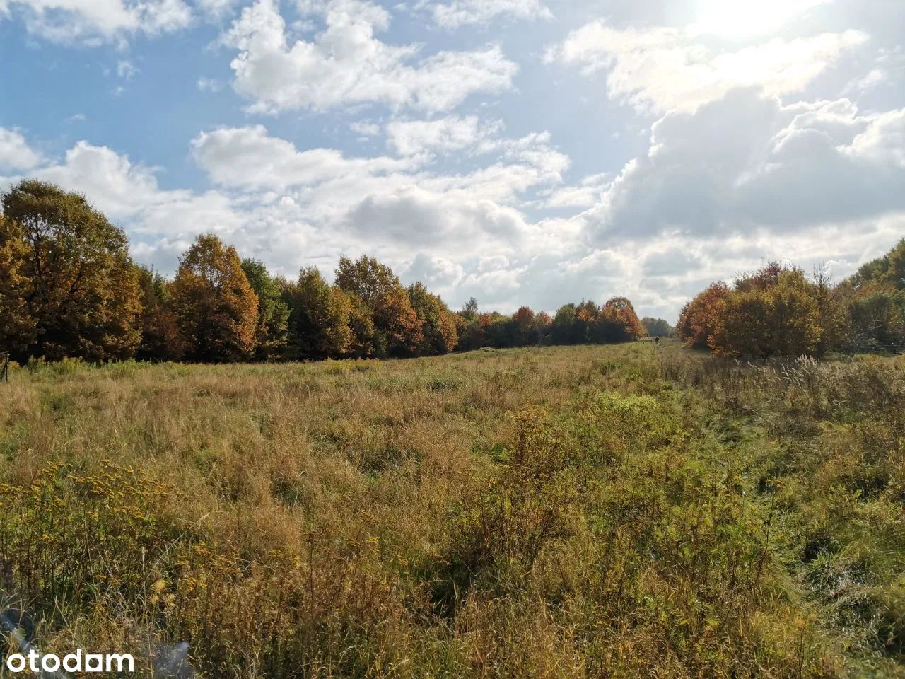Działka budowlana Brzesko Słotwina, ul. Odrodzenia. Zdjęcie 3