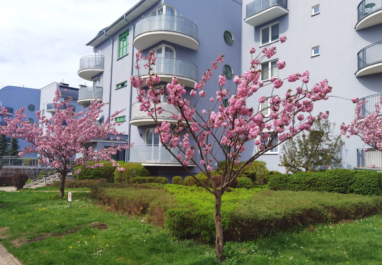 Mieszkanie 3-pokojowe Olsztyn Kormoran, ul. Wincentego Pstrowskiego. Zdjęcie 2