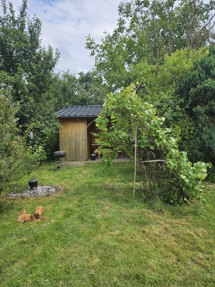 Działka rod Wieluń. Zdjęcie 6