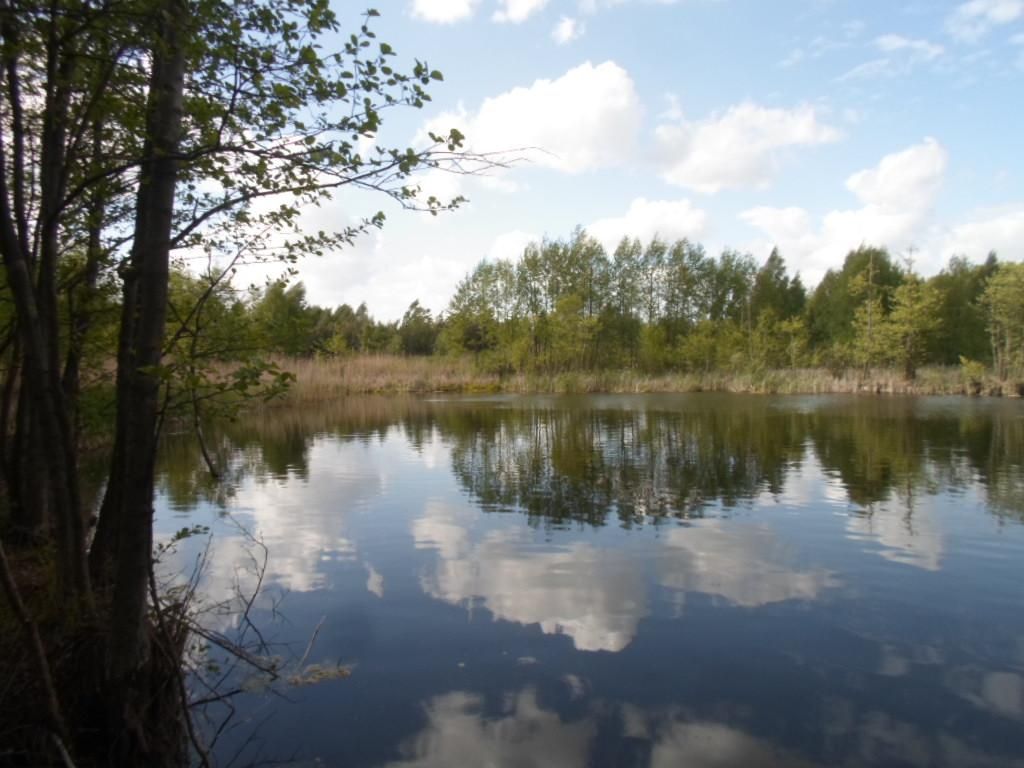 Działka rolno-budowlana Kozjaty. Zdjęcie 2