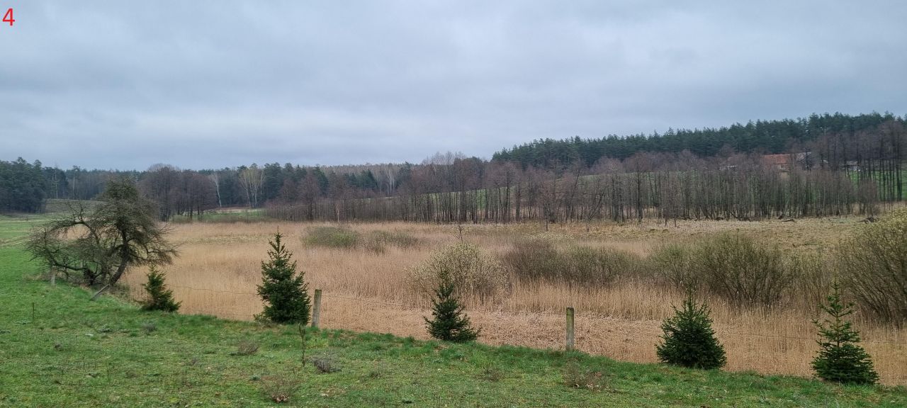 Działka rolna Piecki Piersławek. Zdjęcie 3