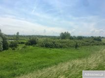 Działka rekreacyjna Jankowice. Zdjęcie 3