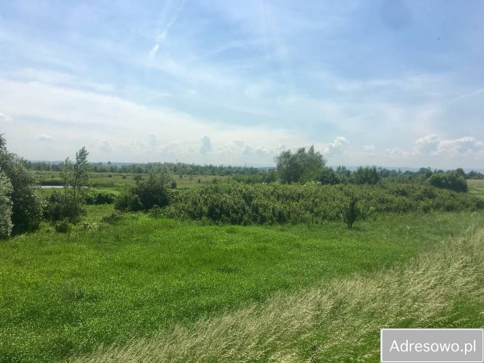 Działka rekreacyjna Jankowice. Zdjęcie 4