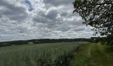 Działka rolna Husów Podstrasznik