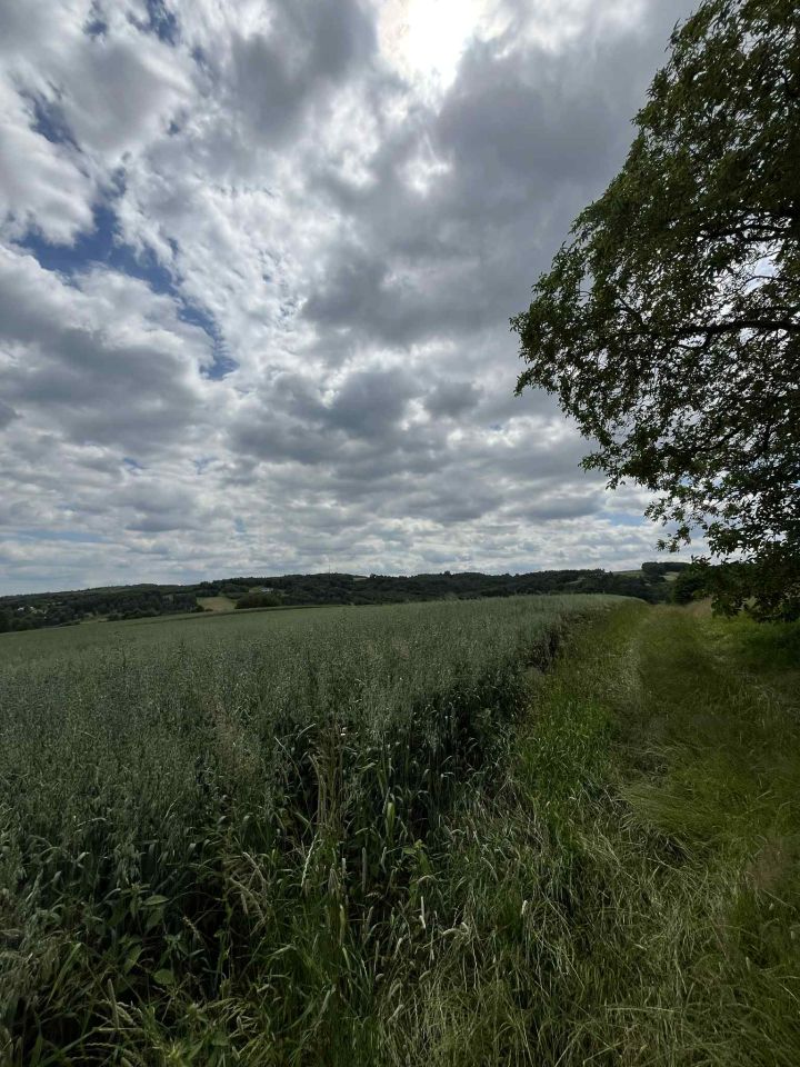 Działka rolna Husów Podstrasznik