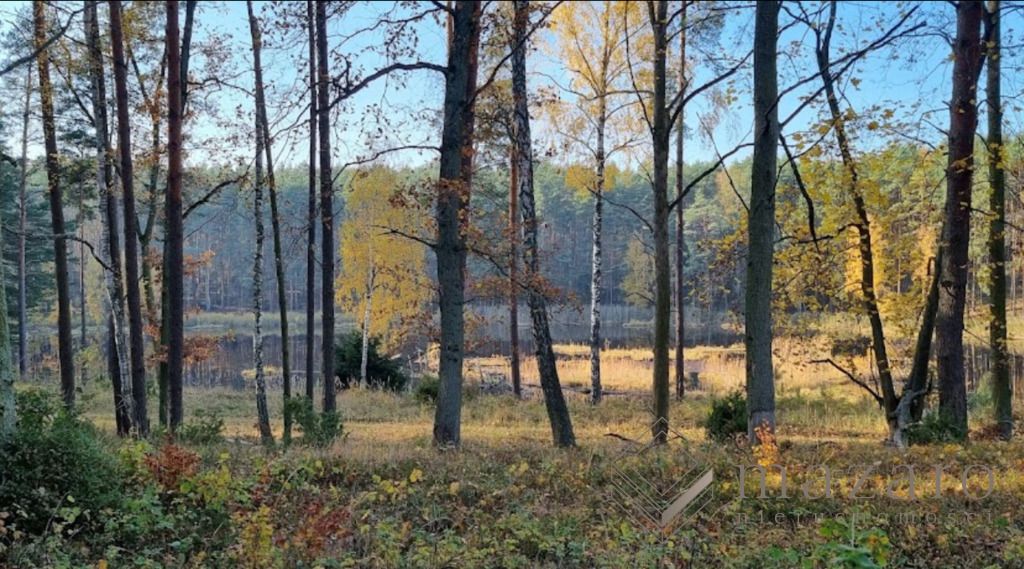 Działka rolna Drogosław. Zdjęcie 7