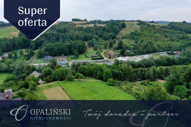 Działka budowlana Błędowa Tyczyńska. Zdjęcie 1