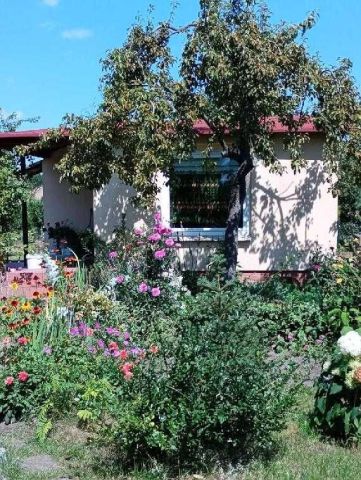 Działka rod Pleszew, ul. Wierzbowa. Zdjęcie 1