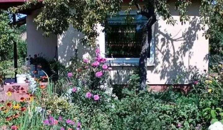 Działka rod Pleszew, ul. Wierzbowa