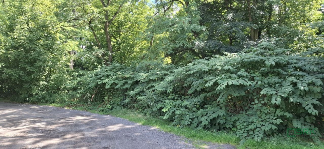 Działka inna Sosnowiec, ul. Adama Śliwki. Zdjęcie 6