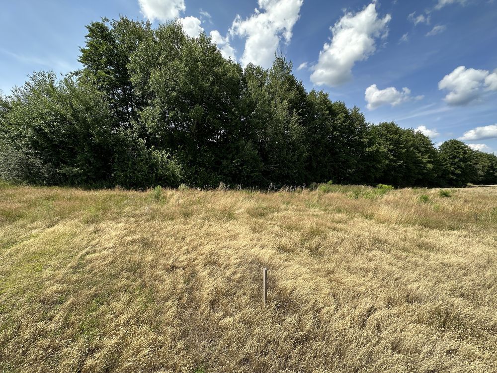 Działka rolno-budowlana Chwalęcice. Zdjęcie 6