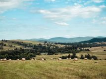 Działka budowlana Osławica. Zdjęcie 1
