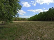 Działka budowlana Zbójno Greszczyn. Zdjęcie 1