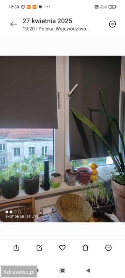 Mieszkanie 1-pokojowe Warszawa Mokotów, ul. Sielecka. Zdjęcie 3