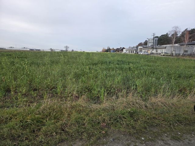 Działka budowlana Durzyn. Zdjęcie 1