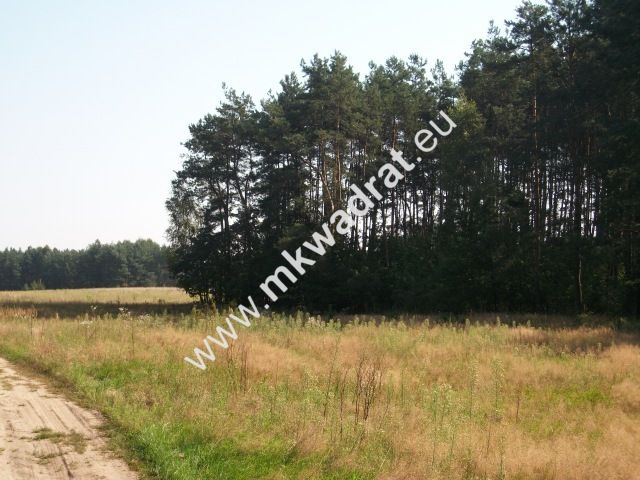 Działka rolna Budy Mszczonowskie. Zdjęcie 1