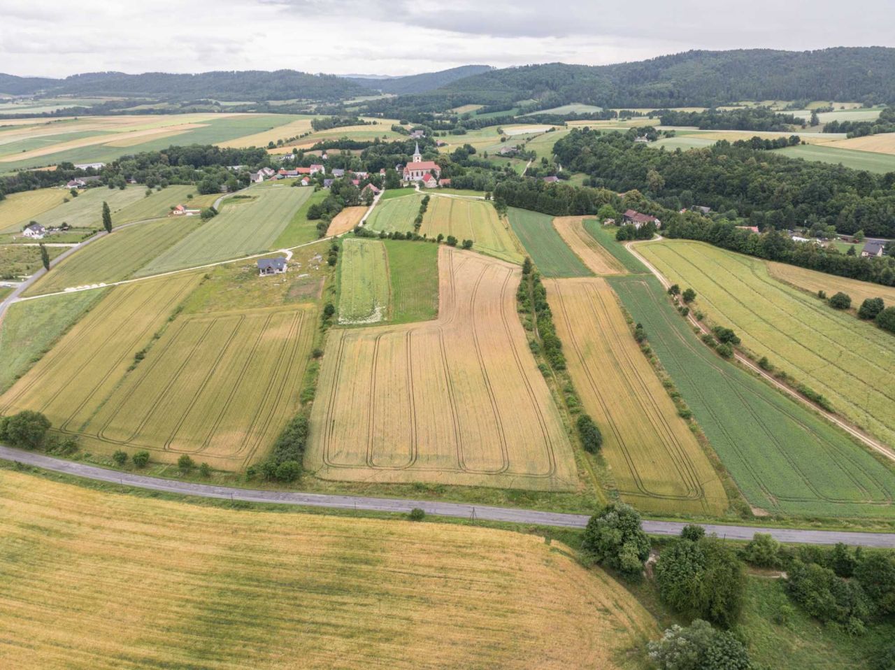 Działka budowlana Stary Waliszów. Zdjęcie 5