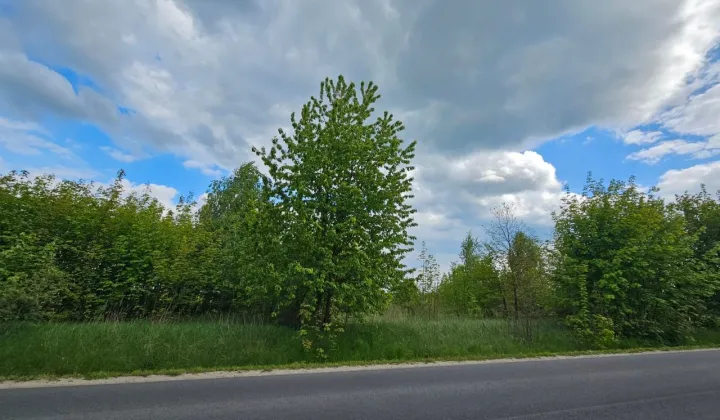 Działka budowlana Jordanów