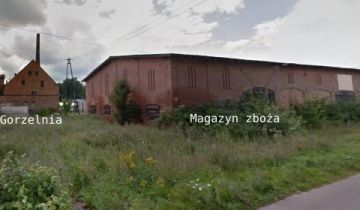 Nieruchomość komercyjna Wicewo