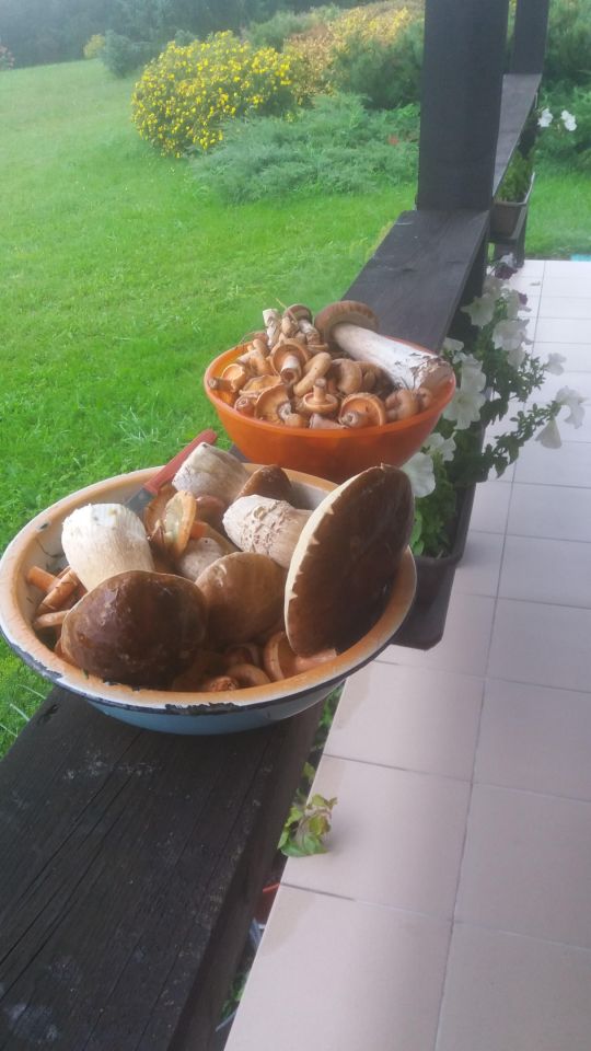 dom wolnostojący, 9 pokoi Rospuda. Zdjęcie 13