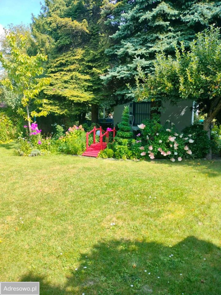 Działka rod Sosnowiec Pogoń, ul. Lwowska. Zdjęcie 2