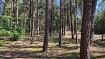 Działka leśna Kamionka Średnia. Zdjęcie 1