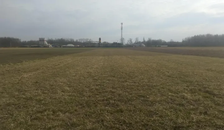 Działka rolna Bieruń Bijasowice, ul. Władysława Jagiełły