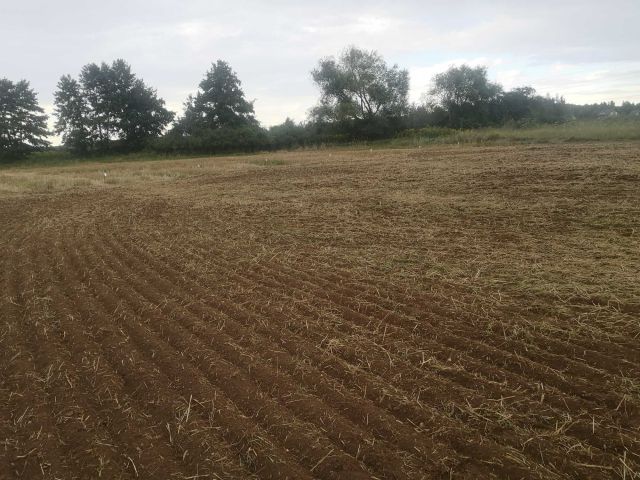 Działka budowlana Uraz, ul. 3 Maja. Zdjęcie 1