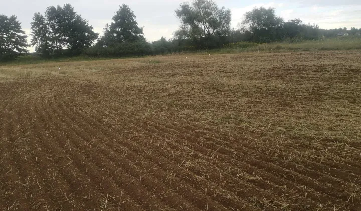 Działka budowlana Uraz, ul. 3 Maja