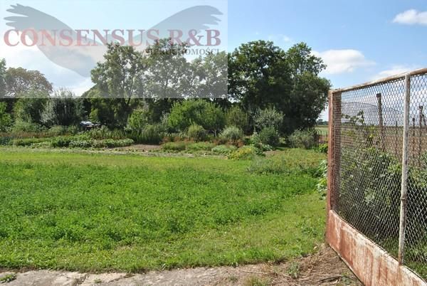 Hala/magazyn Prudnik. Zdjęcie 10