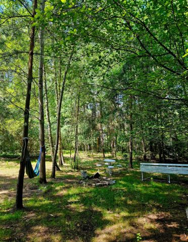 Działka budowlana Duchnów. Zdjęcie 2