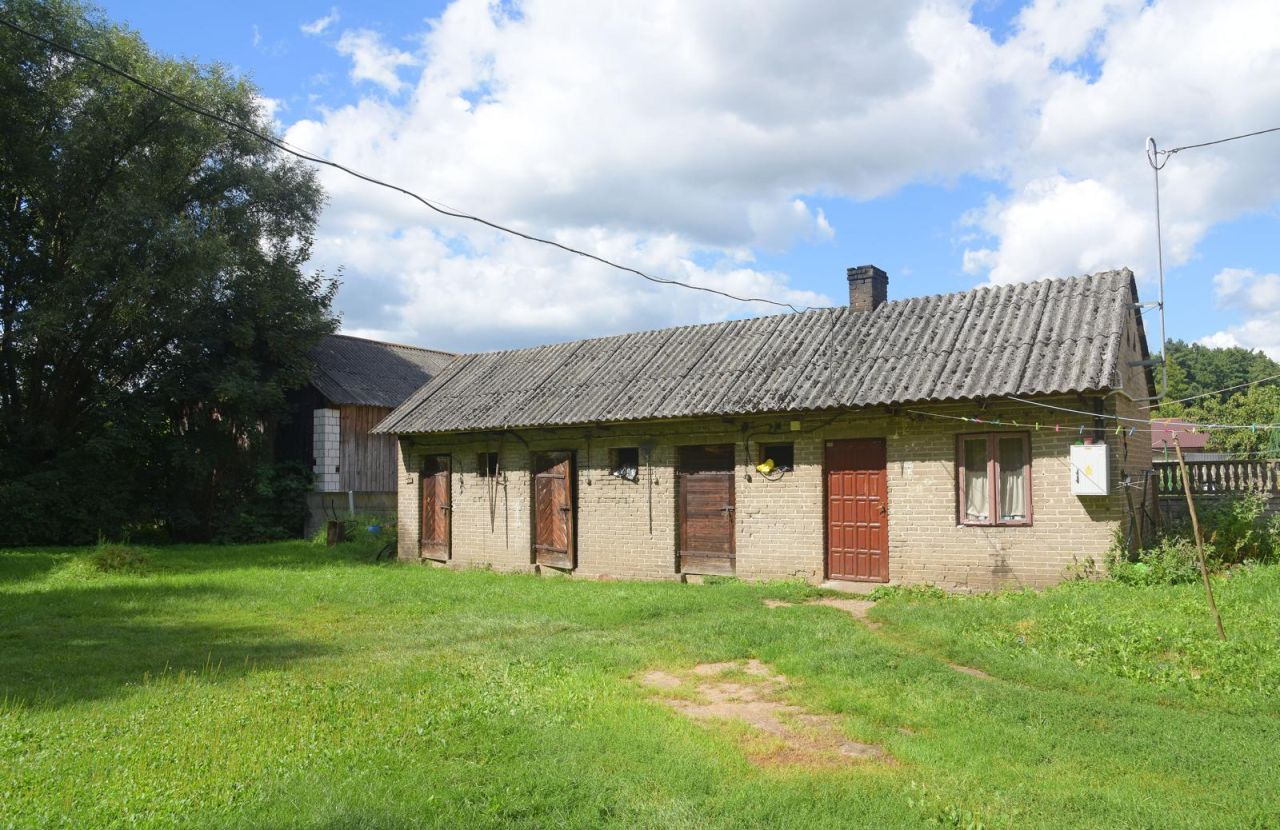gospodarstwo Wysokin. Zdjęcie 7