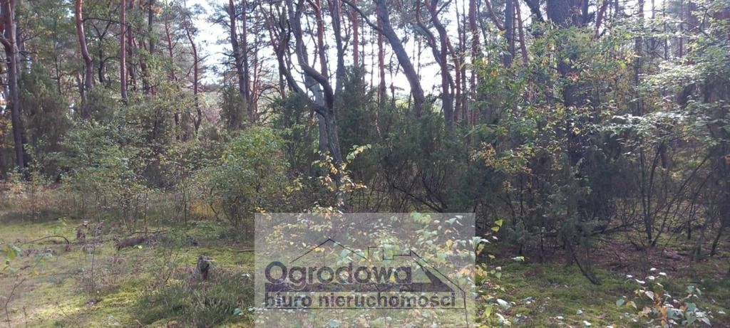 Działka rekreacyjna Popowo-Letnisko, al. Centralna. Zdjęcie 1