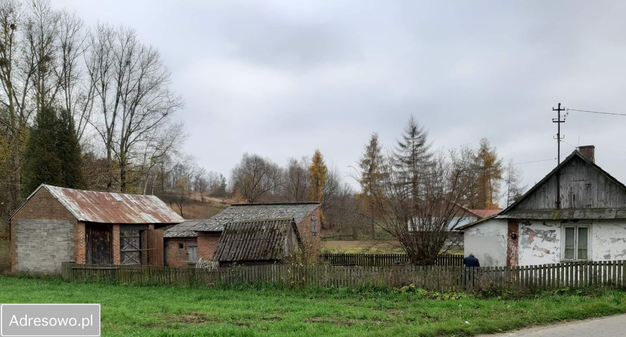dom wolnostojący, 2 pokoje Blinów Drugi