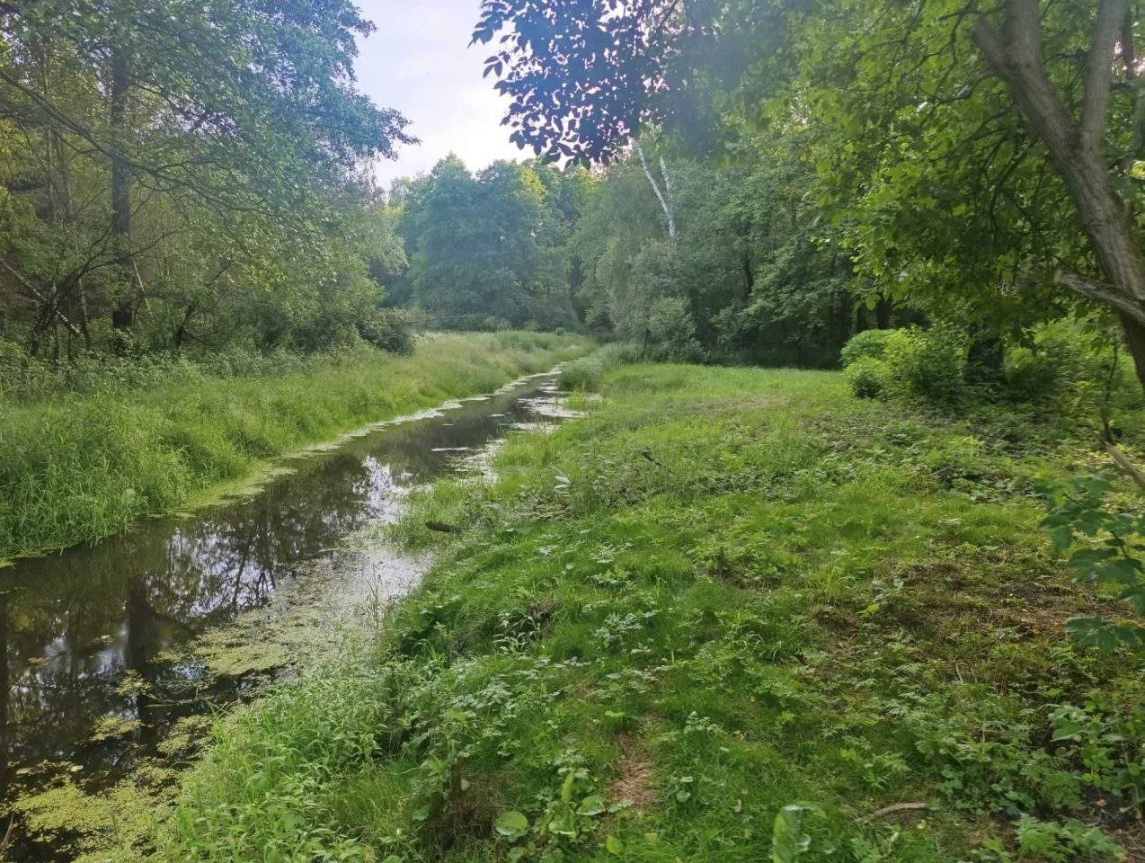 Działka rekreacyjna Ościsłowo