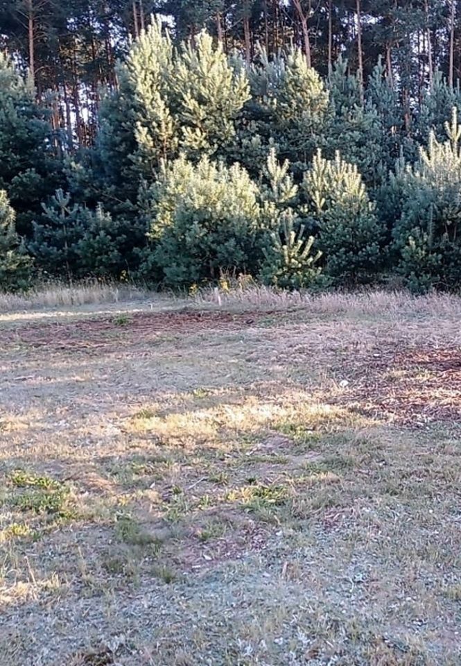 Działka inwestycyjna Władysławowo. Zdjęcie 3