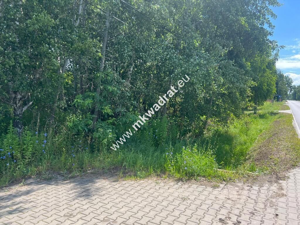 Działka budowlana Radonie. Zdjęcie 1