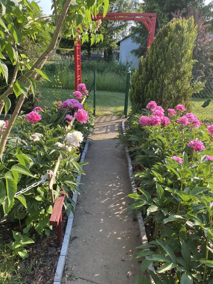 Działka rod Płock. Zdjęcie 6