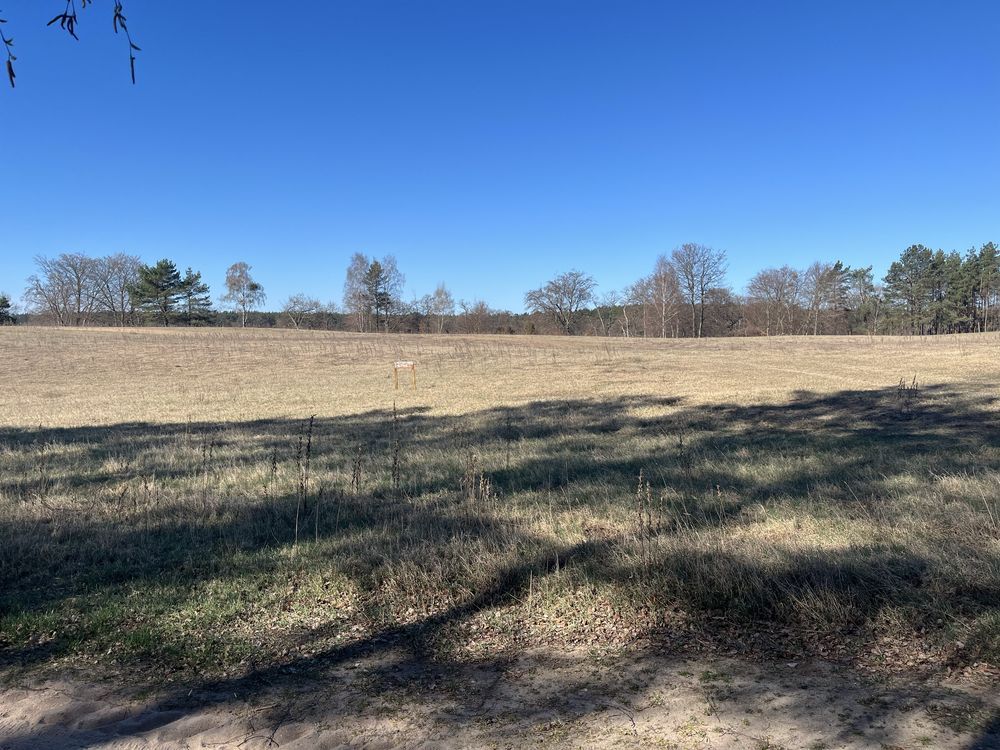 Działka rolna Zabrody. Zdjęcie 4