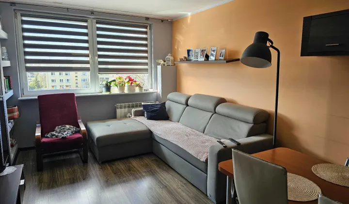 Mieszkanie 2-pokojowe Kościan