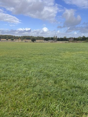 Działka budowlana Budy Ciepielińskie. Zdjęcie 3
