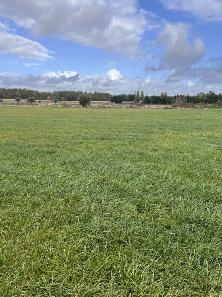 Działka budowlana Budy Ciepielińskie. Zdjęcie 3