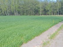 Działka budowlana Folwark. Zdjęcie 2