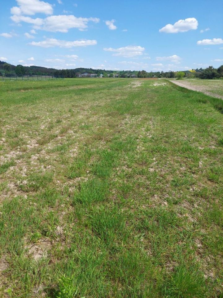 Działka Lipowiec. Zdjęcie 2