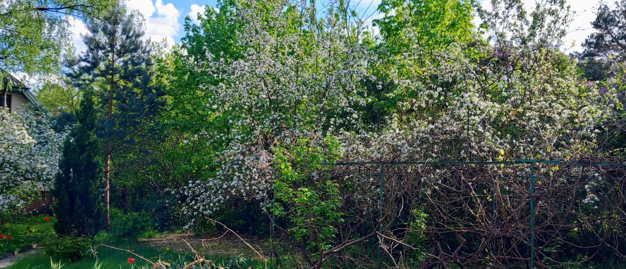 dom wolnostojący, 5 pokoi Otwock Świder, ul. Pogodna. Zdjęcie 28