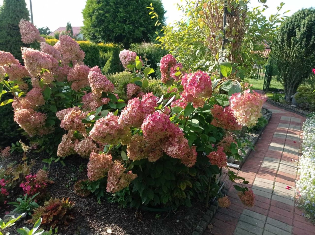 Działka rod Nowy Tomyśl. Zdjęcie 6